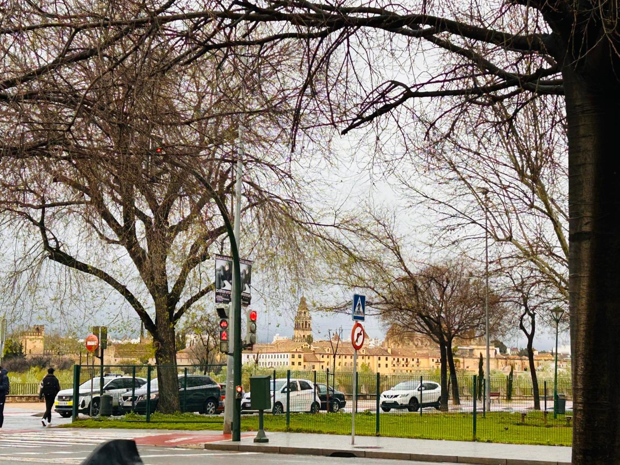 Plaza De Andalucia Home Con Parking Kordoba Bagian luar foto